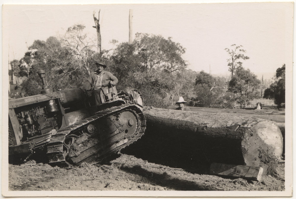 Tractor with felled tree, c. 1940s