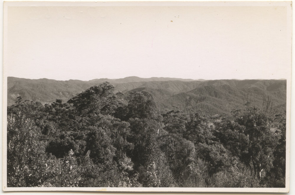 Forested hills, c. 1940s
