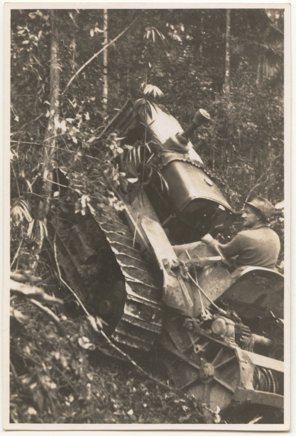 Tractor in rainforest, c. 1940s