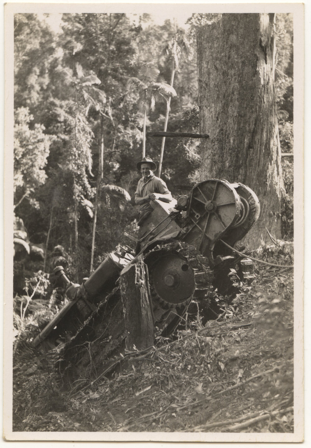 Tractor in rainforest, c. 1940s
