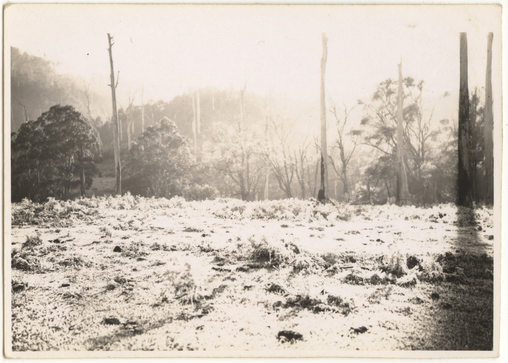 Frost in Karangi, c. 1940s