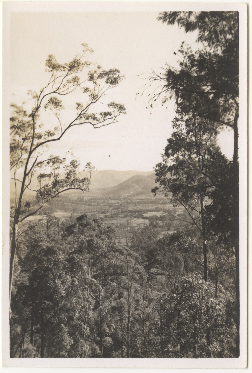 Karangi bushland and farms, 20 June 1948