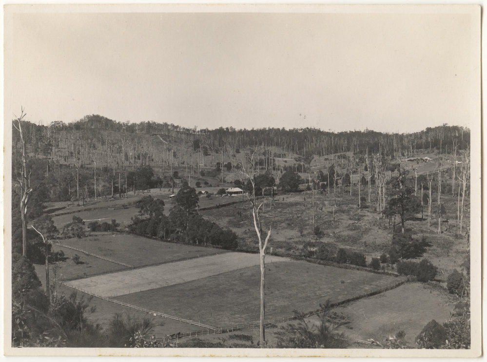 Otley farm at Karangi, 14 July 1945