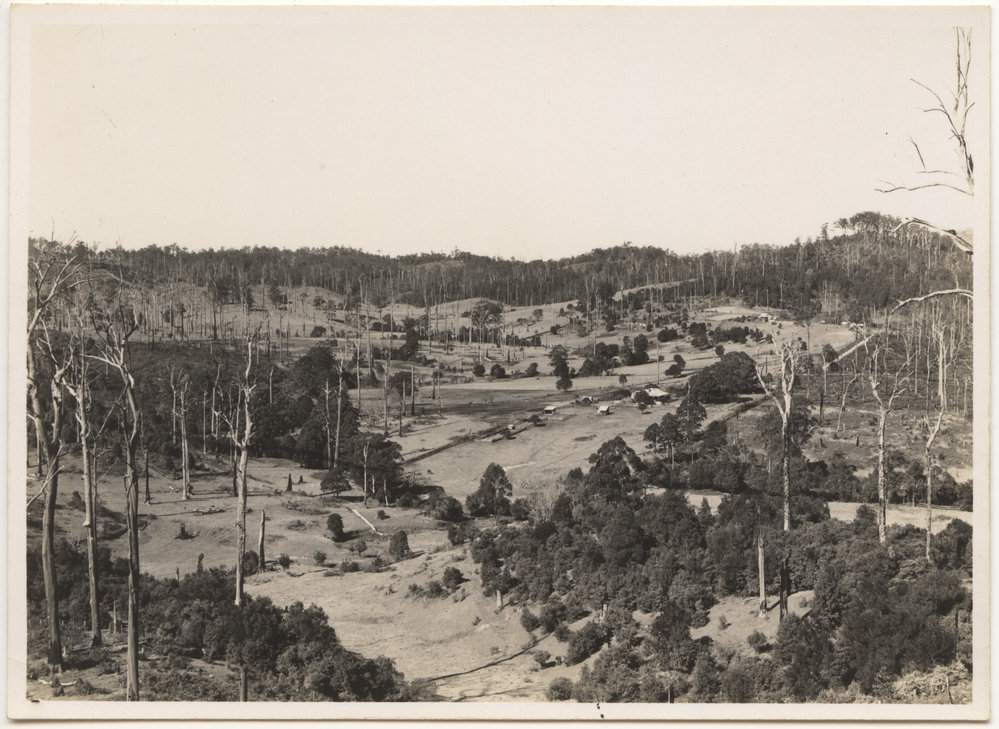 Otley farm at Karangi, 23 August 1946