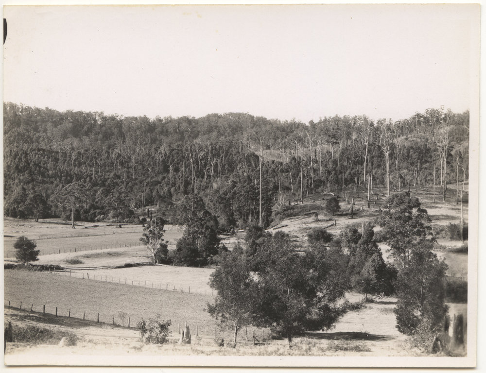 Harry Maston's farm "Farnley", 30 August 1946