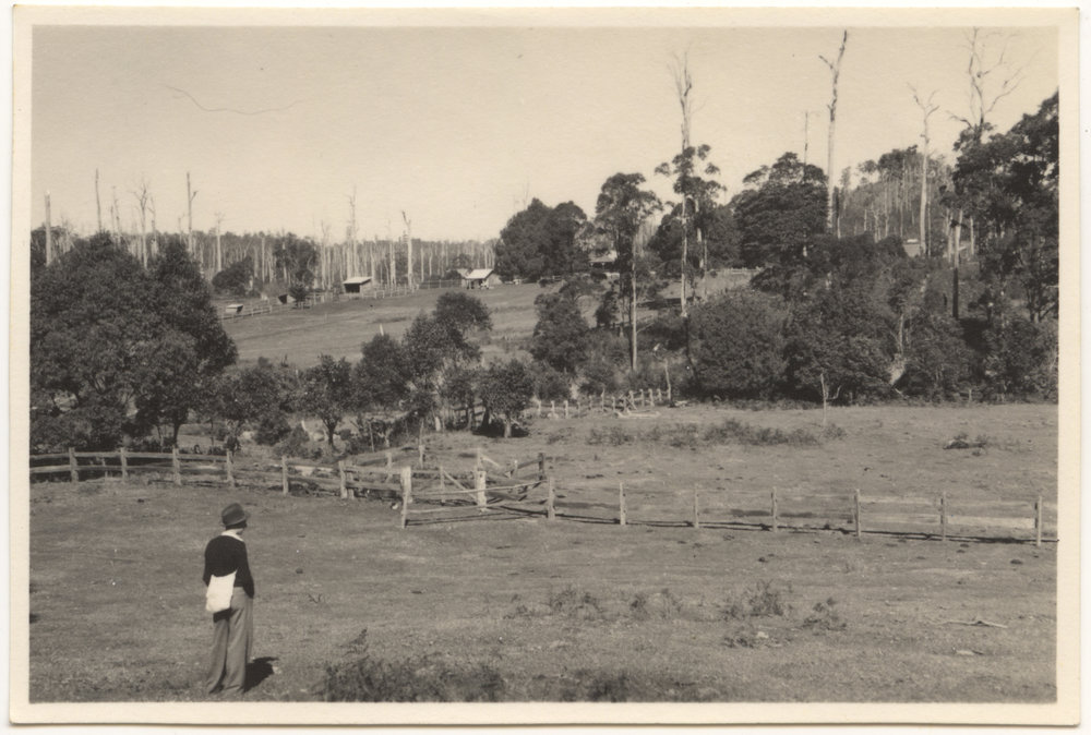 Bill McDonald at Otley, Karangi, c. 1940s