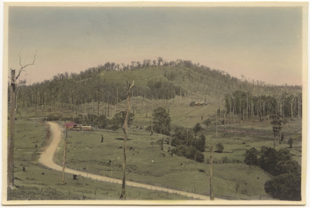 Mt Browne at Karangi, c. 1940s