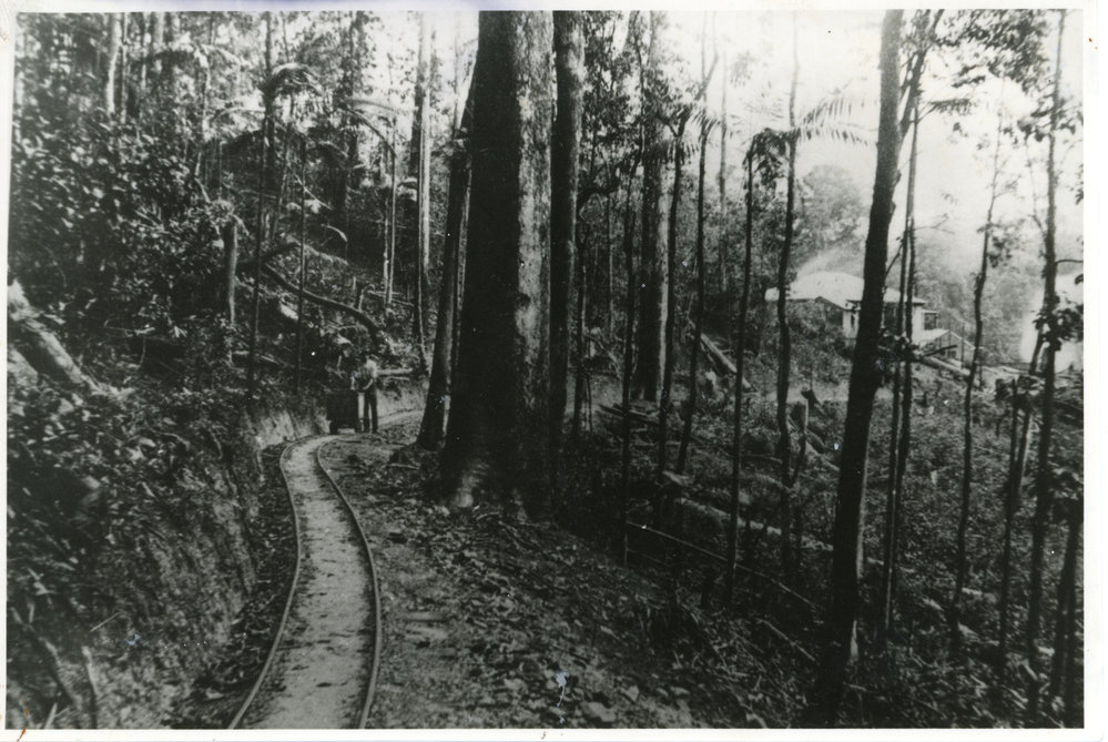 Gold mine tramline