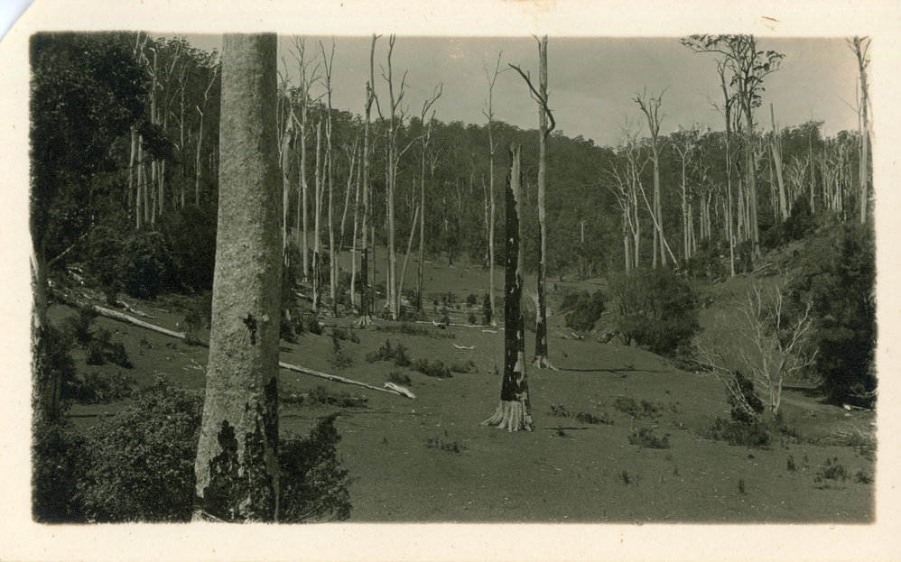 Otley valley, 1930