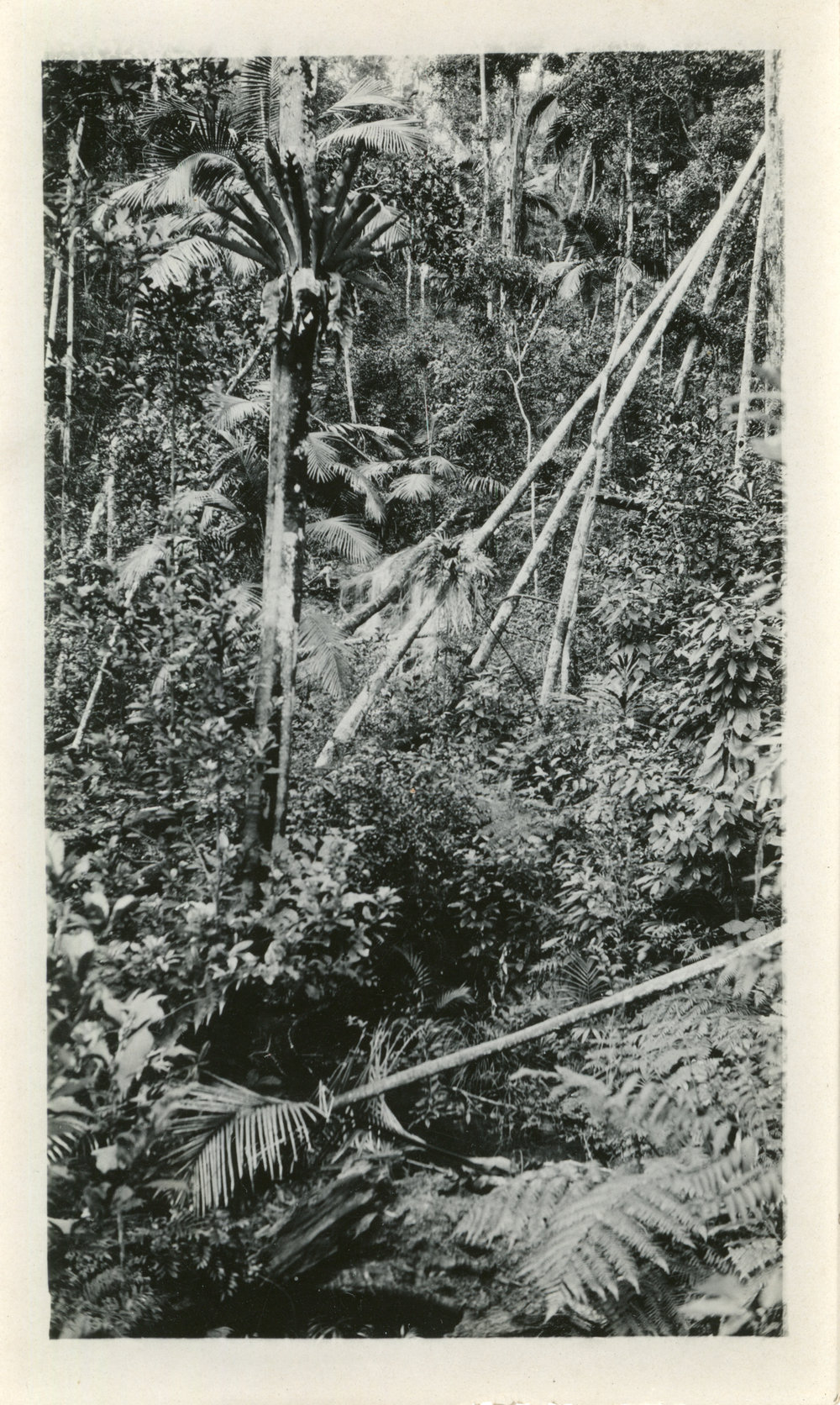Waterfall on the Maston farm, 1930