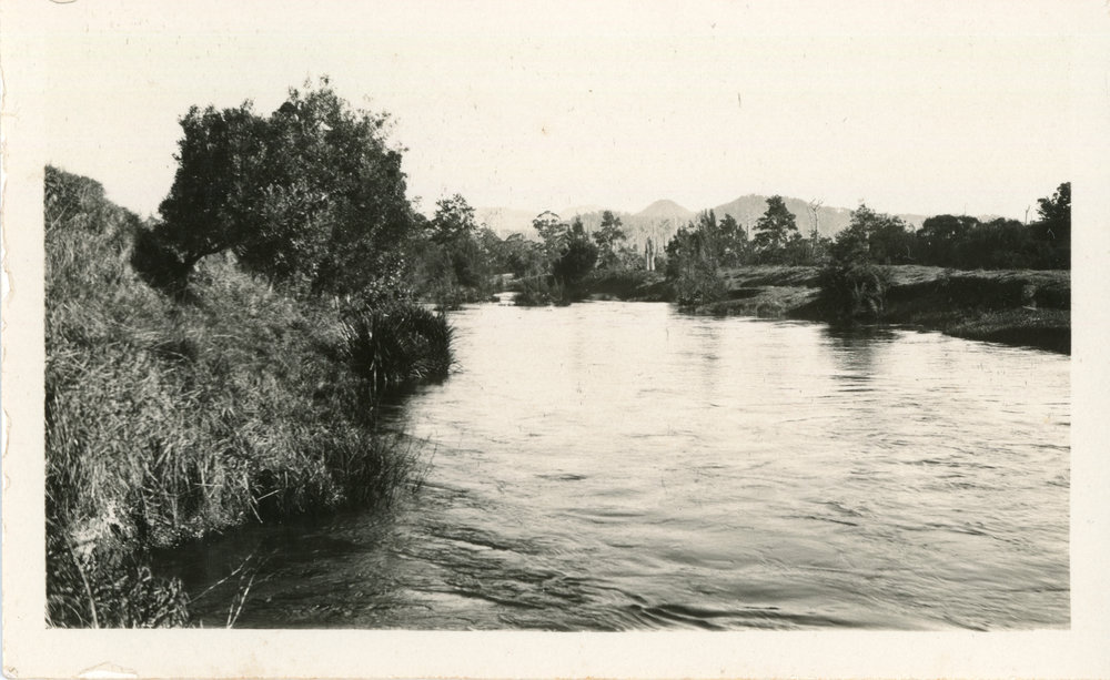 Orara River at Karangi, 1930