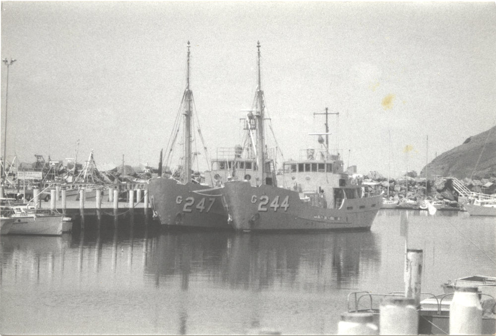 HMA ships "Boss" and "Banks", 6 February 1983