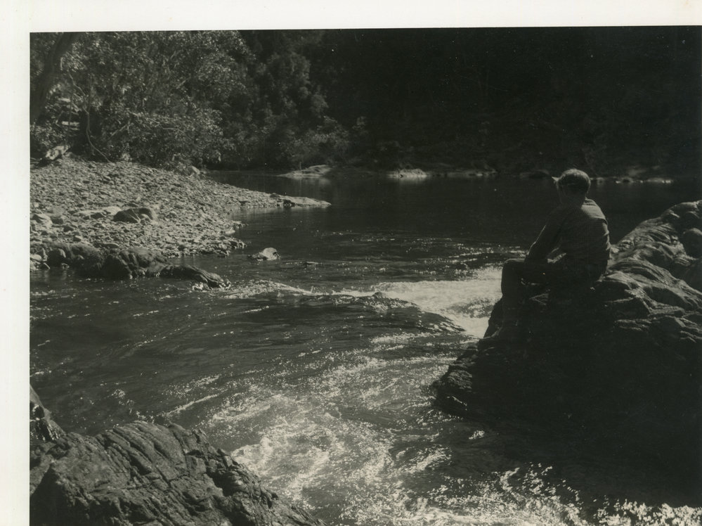 Pensive river scene