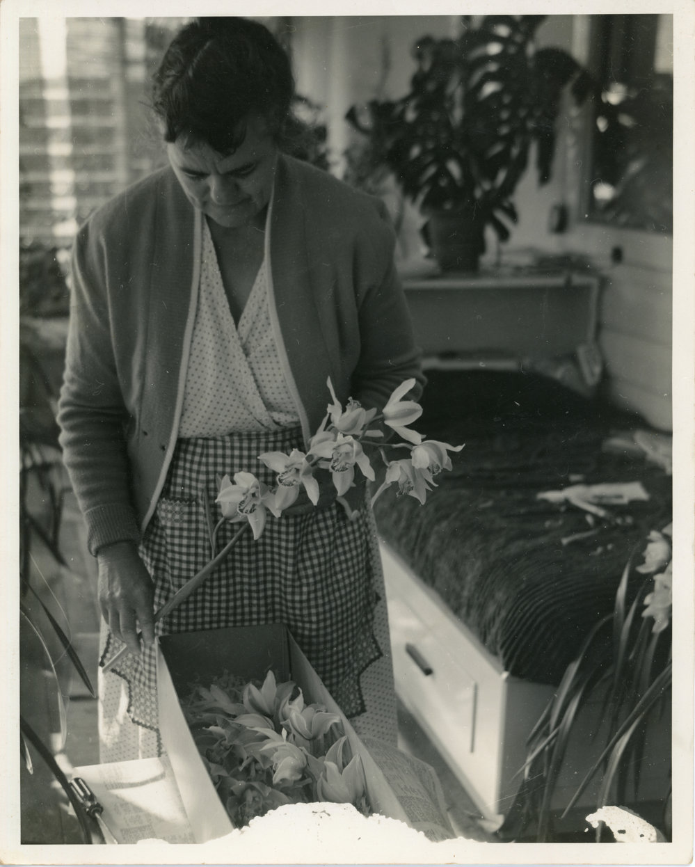Emma Hamey with a box of orchids