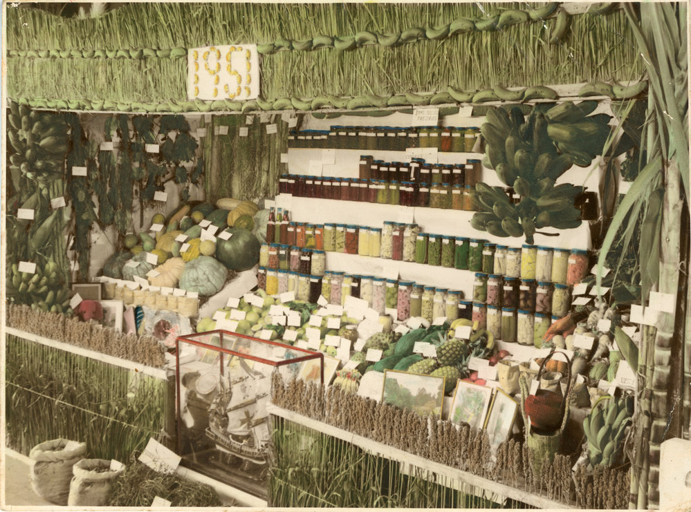 The 32nd Jubilee Agricultural show produce display, August 1951