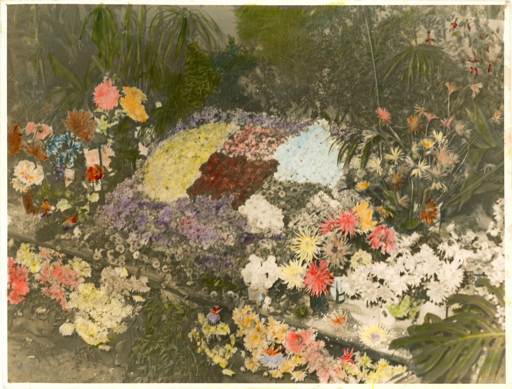 Agricultural show floral display, 1951