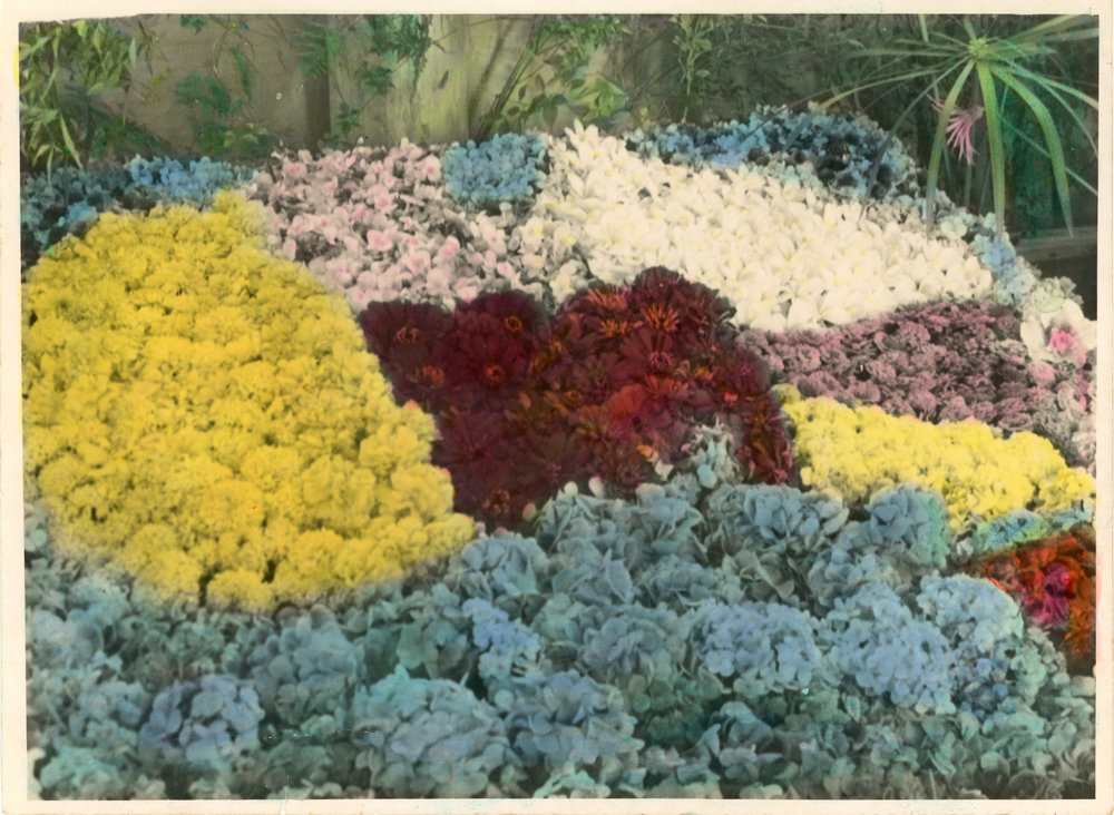Agricultural show floral display, 1951