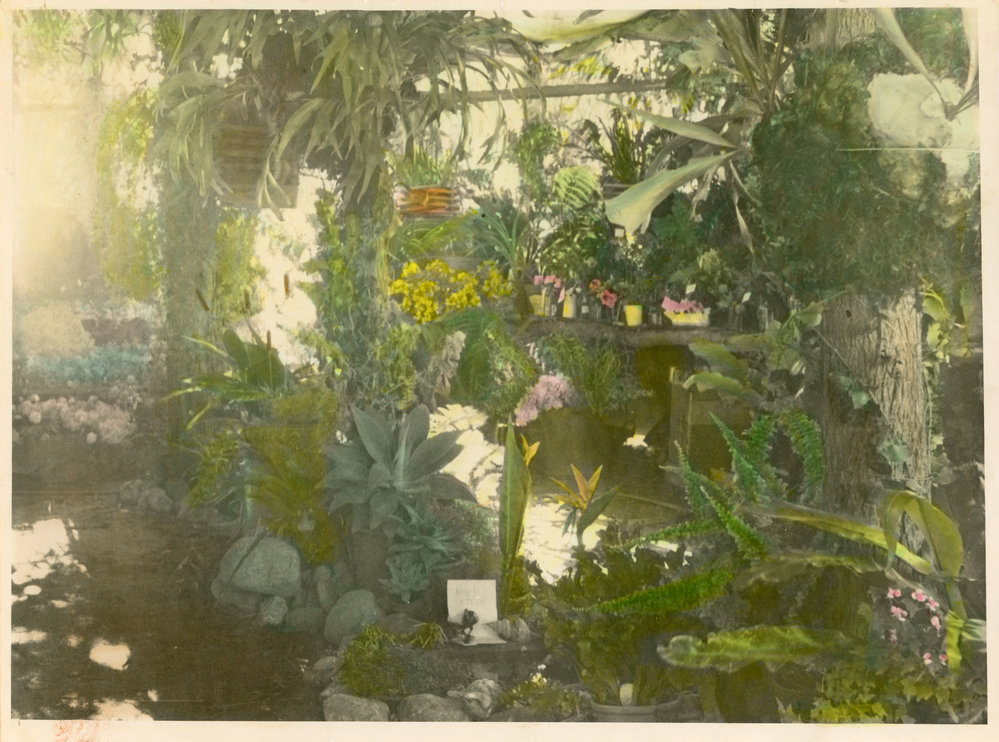 Agricultural show floral display, 1951
