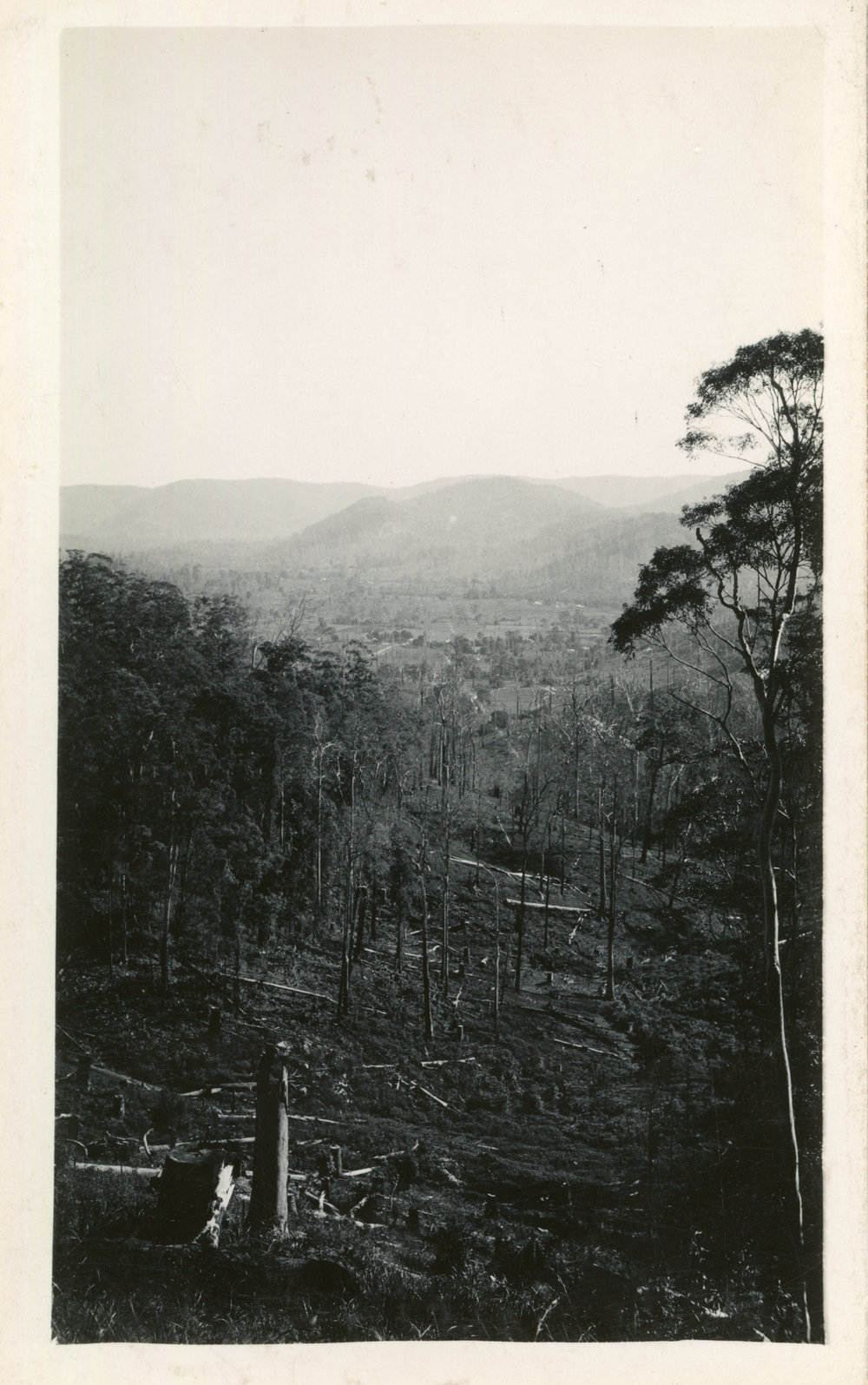 A view from the Maston farm Otley, c. 1933