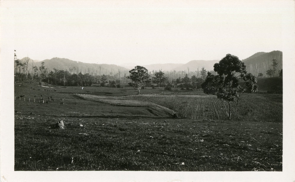 Cropping and dairying in the Orara River valley, 1930