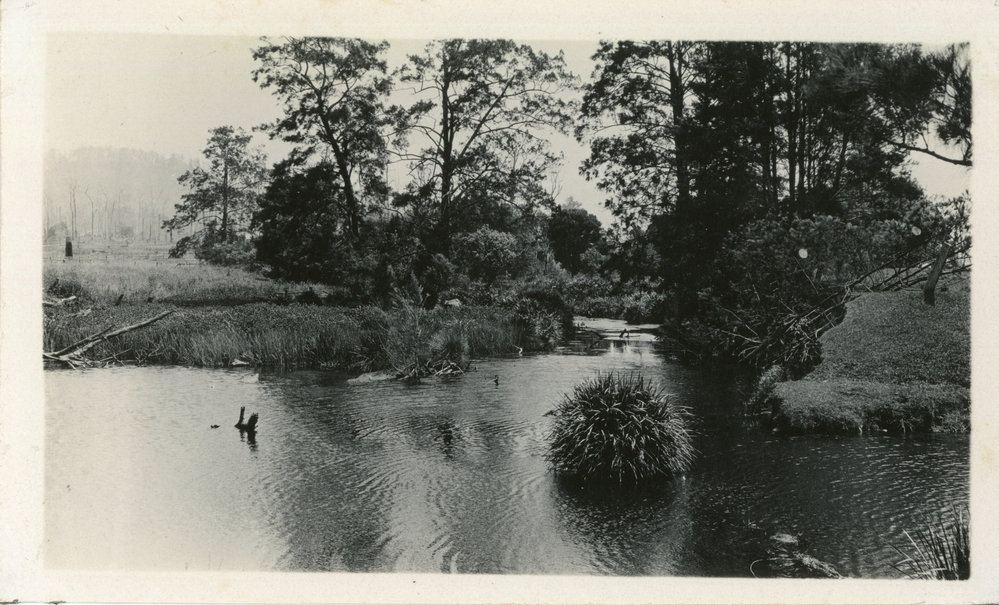 The Junction, 26 November 1929