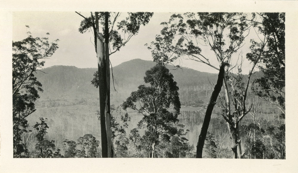 View from Mt Browne looking north, c. 1930