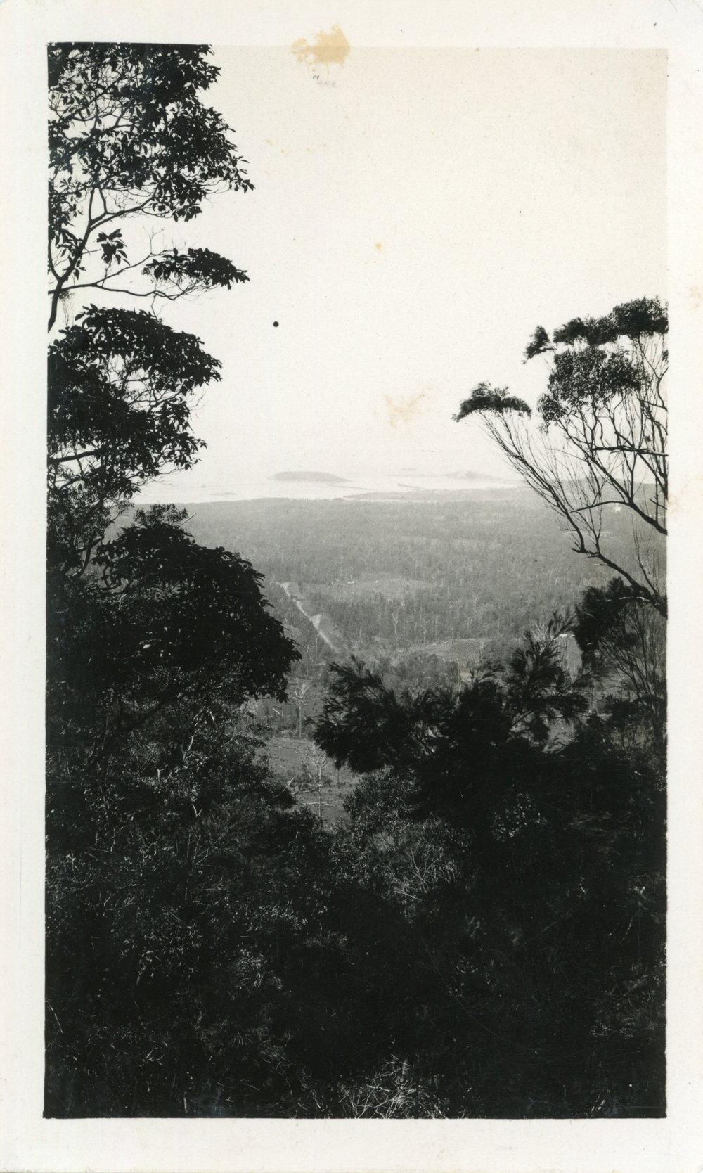 View to Coffs from Karangi, early 1930s