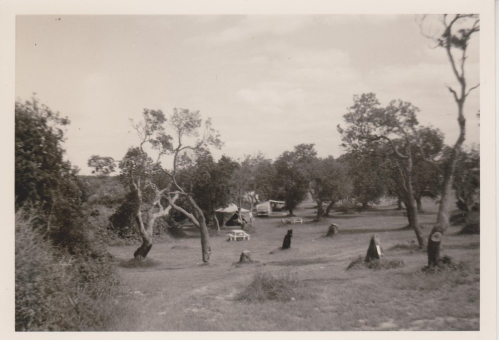 Red Rock Caravan Park 1966