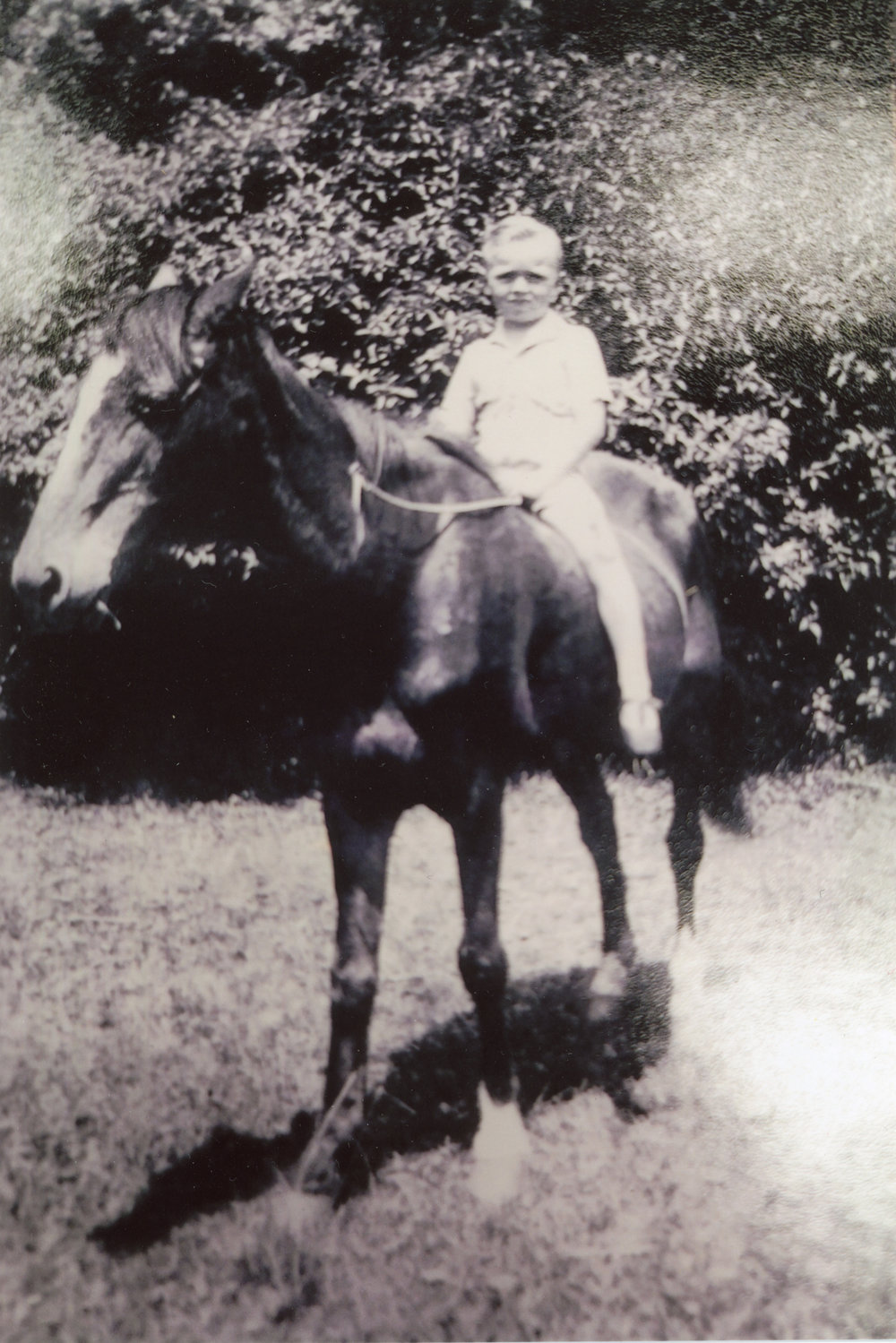 Tom Donnelly with his horse
