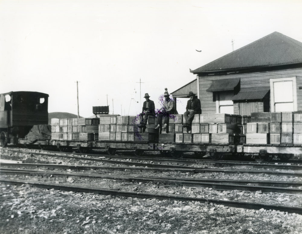 Loading crates of bananas, c.1930