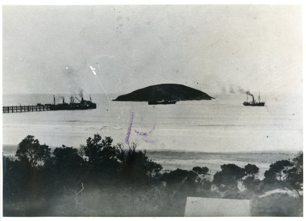Steam Ship Tinterleaf with SS Cooloon and SS Fitzroy visiting the Jetty