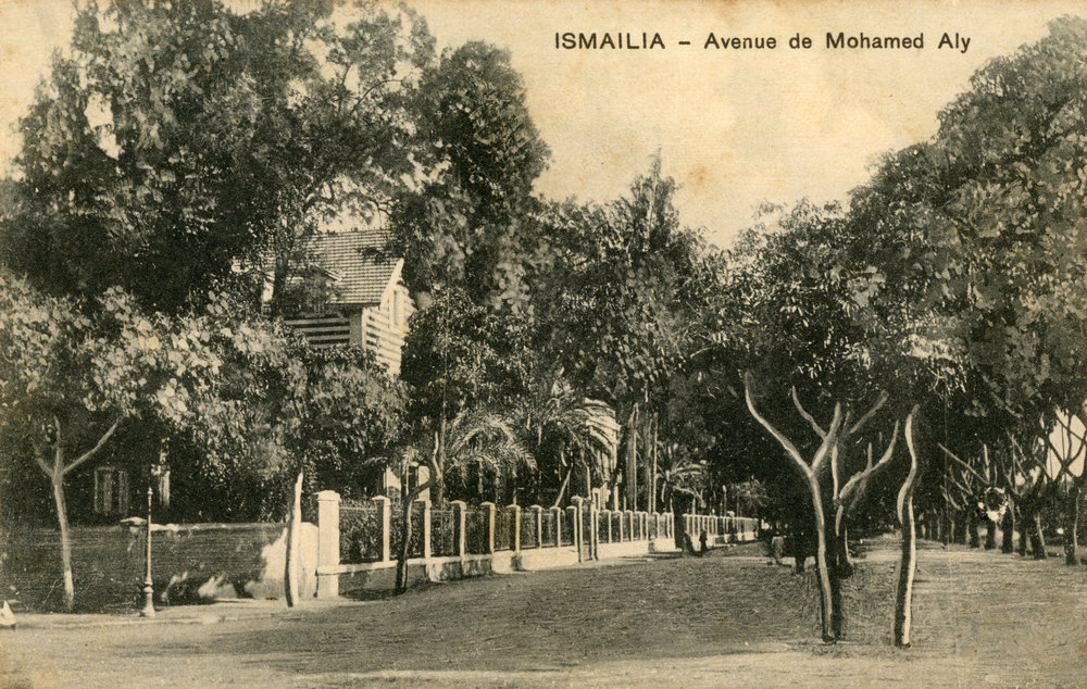 Avenue de Mohamed Aly, c.1905