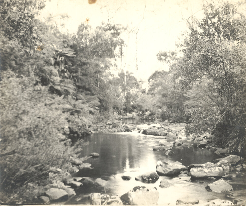 Creek scene