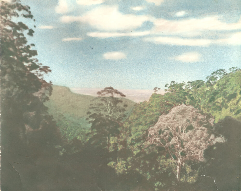 View to the ocean