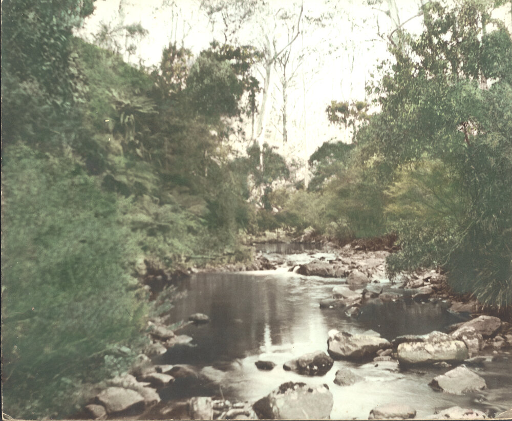 Creek scene