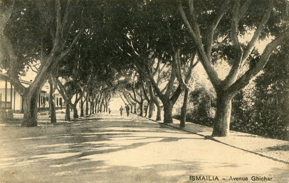 Avenue Ghichar, c.1905