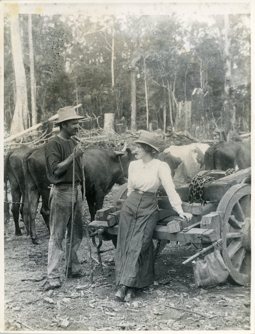 Esther Burgess and Joseph Turnbull with his bullock team, c.1910 