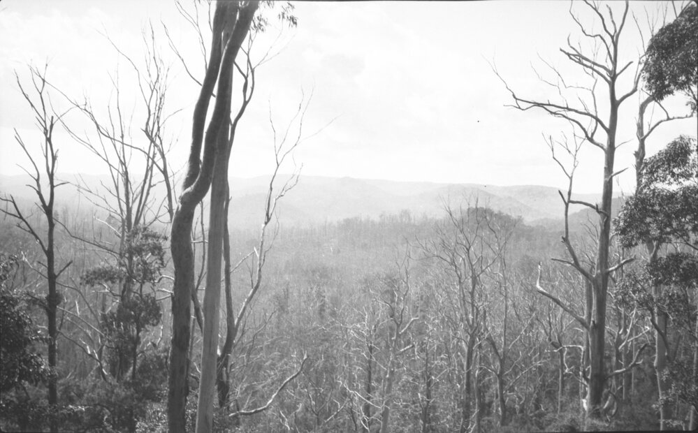 View inland from Anderson's farm to Red Hill, 29 April 1923