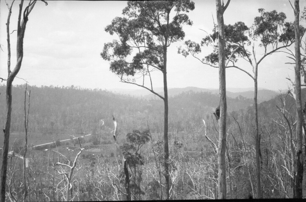 View from Nelsons Hill on Coramba Road, 26 December 1923