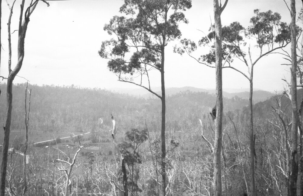 View from Nelsons Hill on Coramba Road, 26 December 1923
