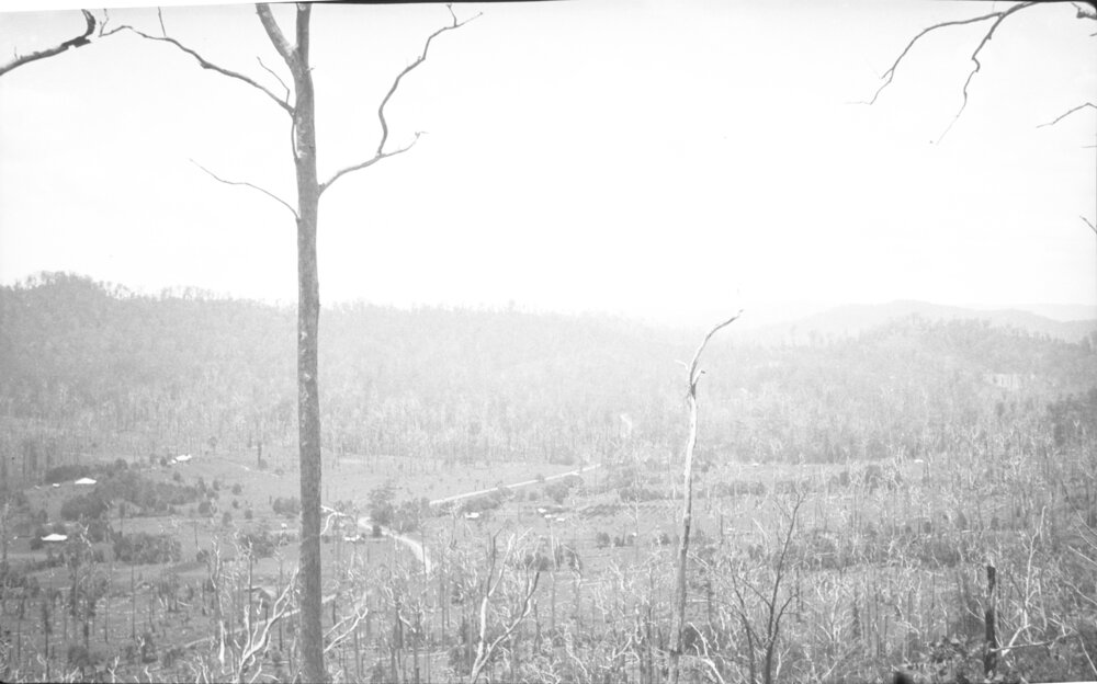 View from Nelsons Hill to Coramba Road, 26 December 1923