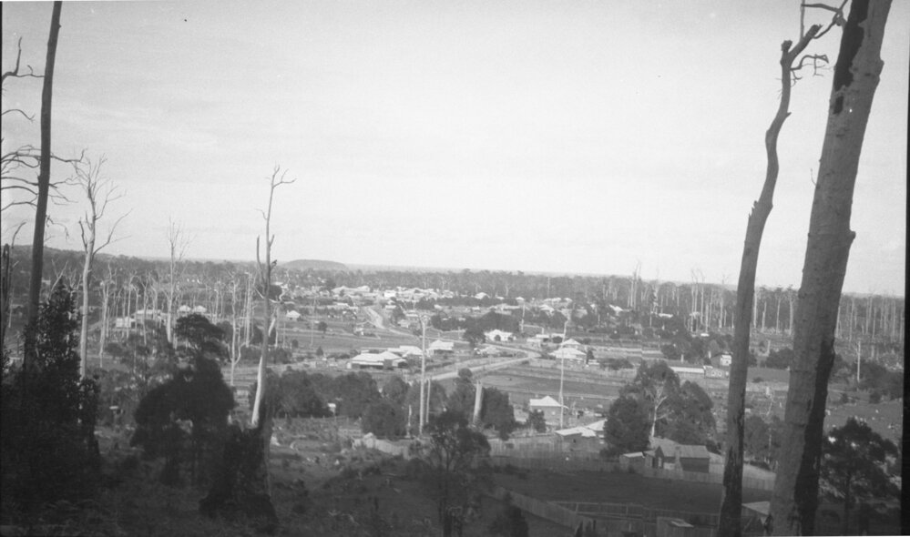 View from Nelsons Hill looking across town towards Muttonbird Island, 2 January 1924  