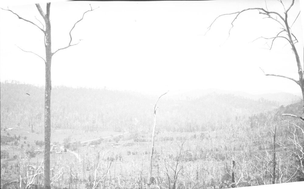View from Nelsons Hill to Coramba Road, 26 December 1923