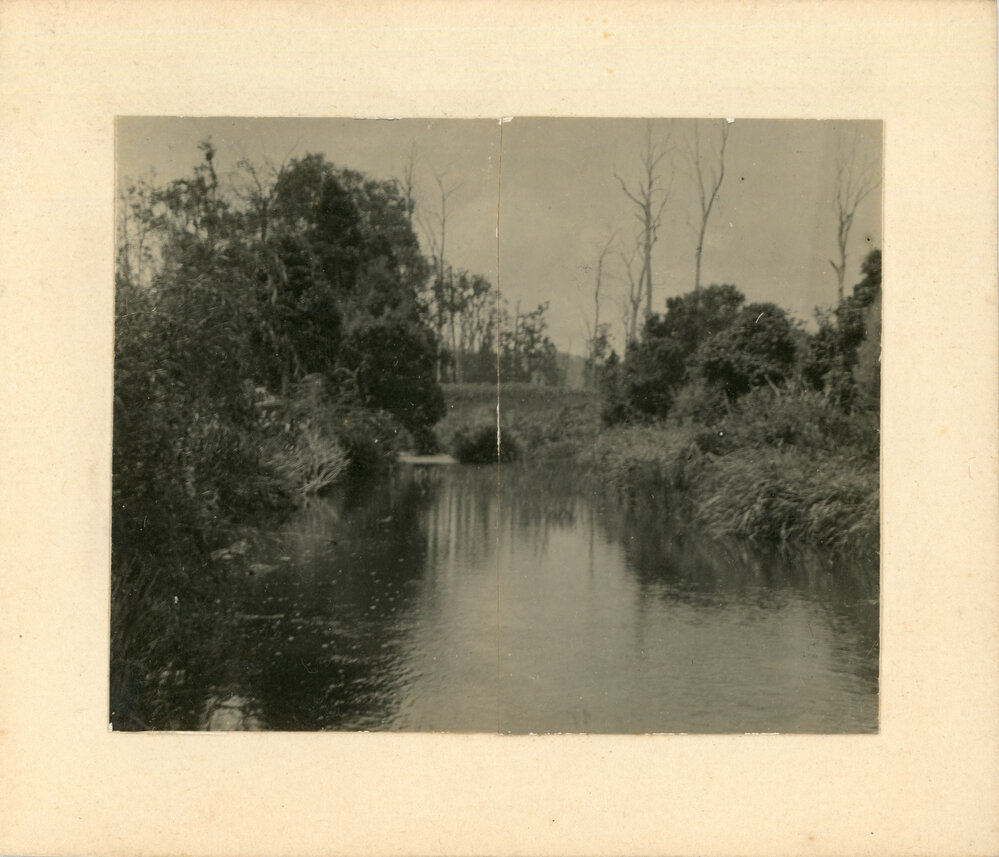 Orara River view, early 1920s