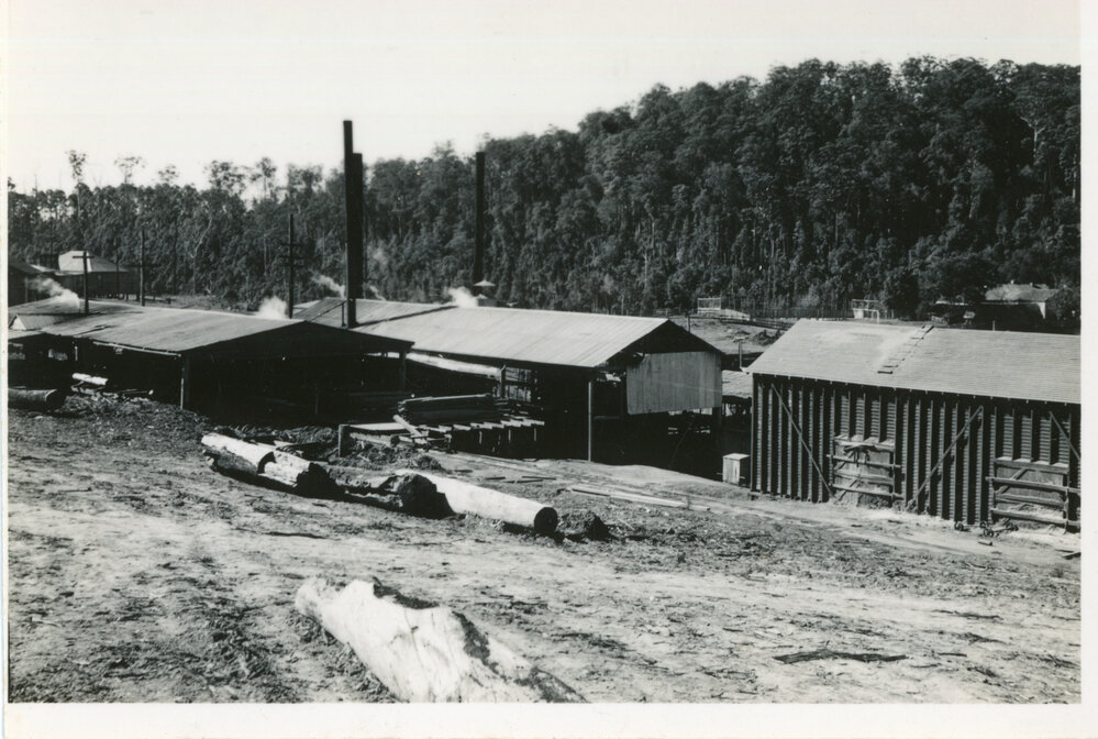 Eastern Dorrigo mill