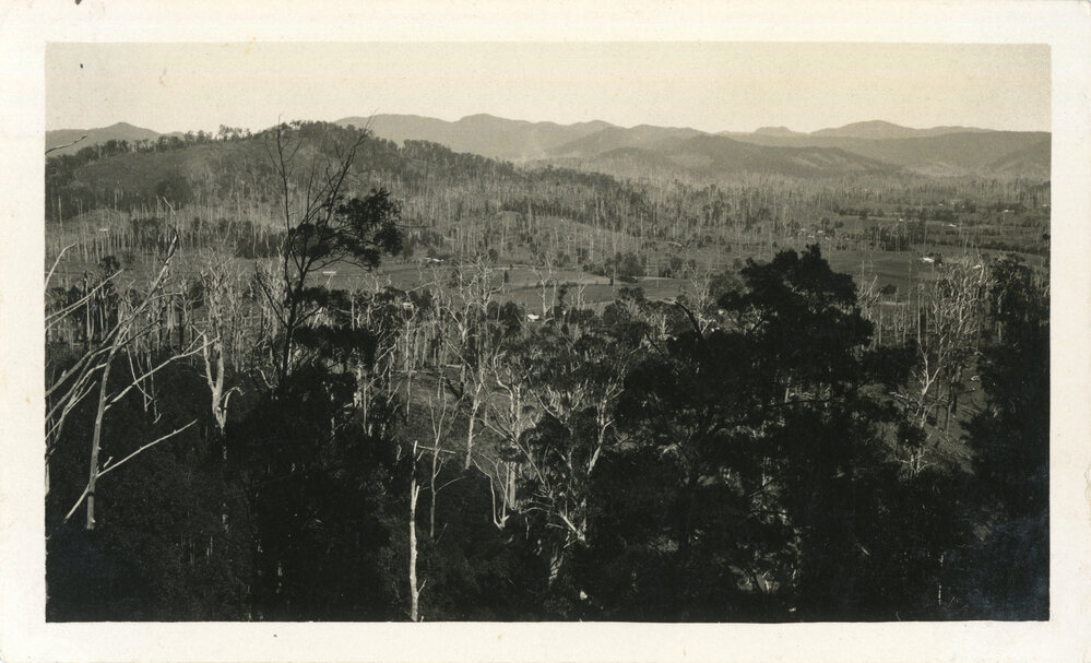 View towards Mt Browne, c.1932