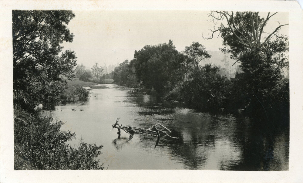 Orara River view, 26 December 1929