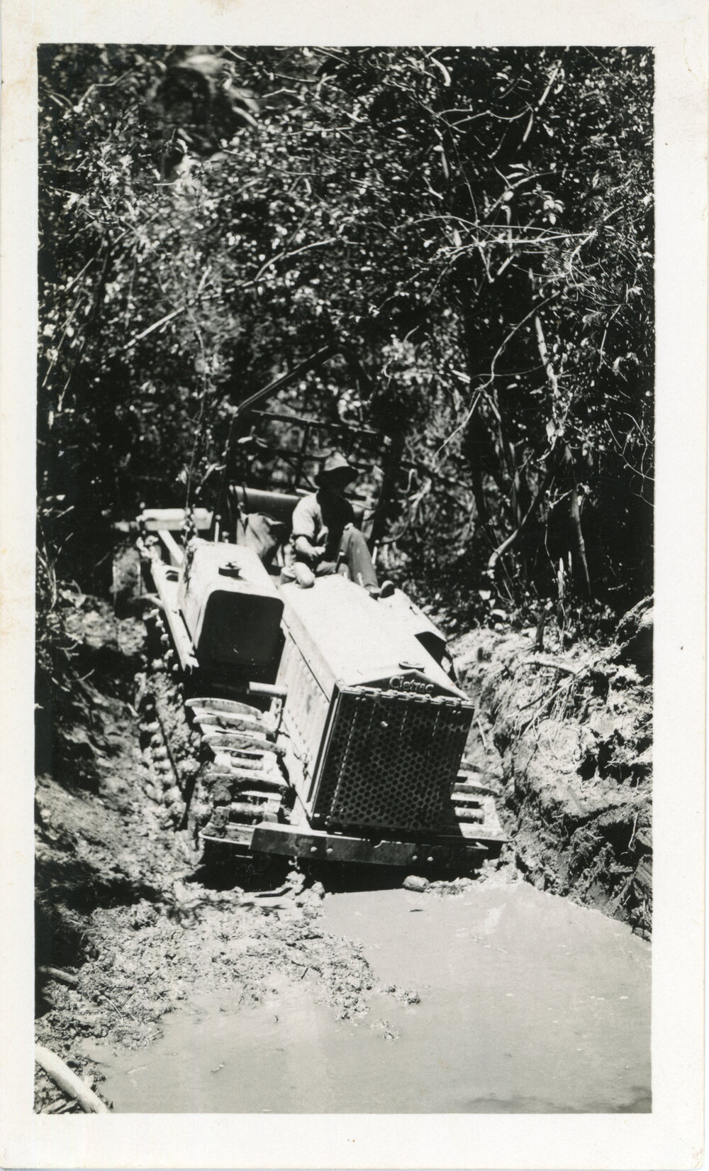 Hauling logs to the Bucca Creek mill, c.1930