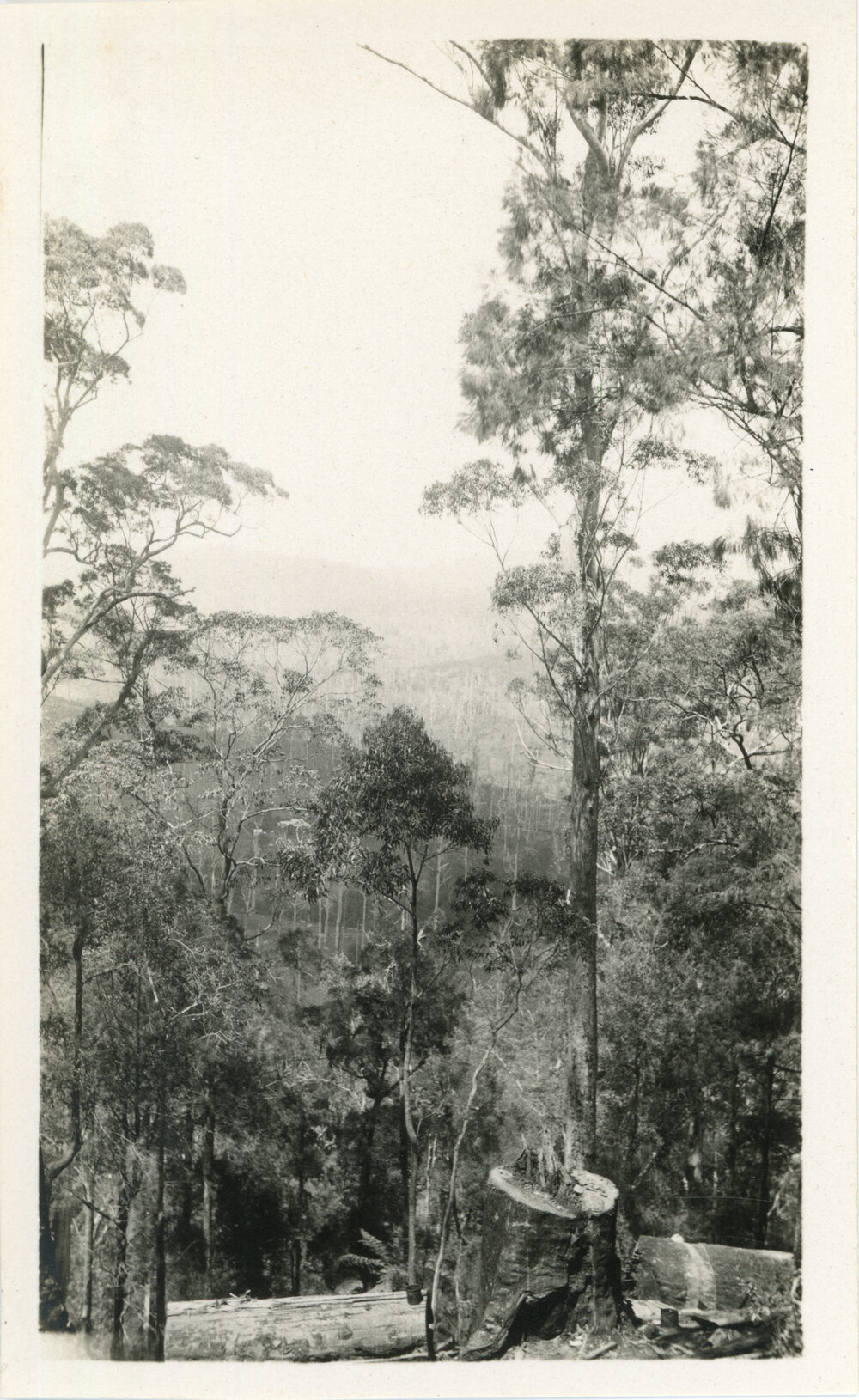 A view of Karangi, c.1930