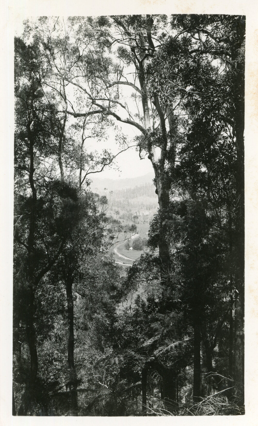 A track to the coast, c.1930